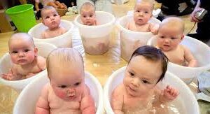 “The human baby”