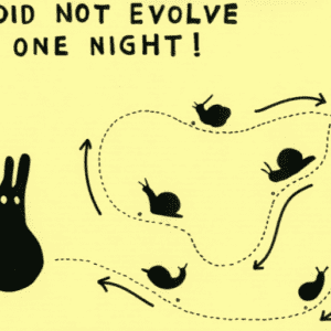 Discovering the leader within yourself